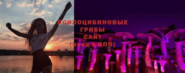 не бодяженный Богородицк